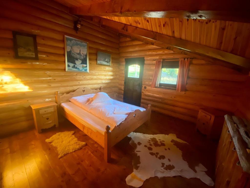 Cabana vânătorului Rîşnov Extérieur photo