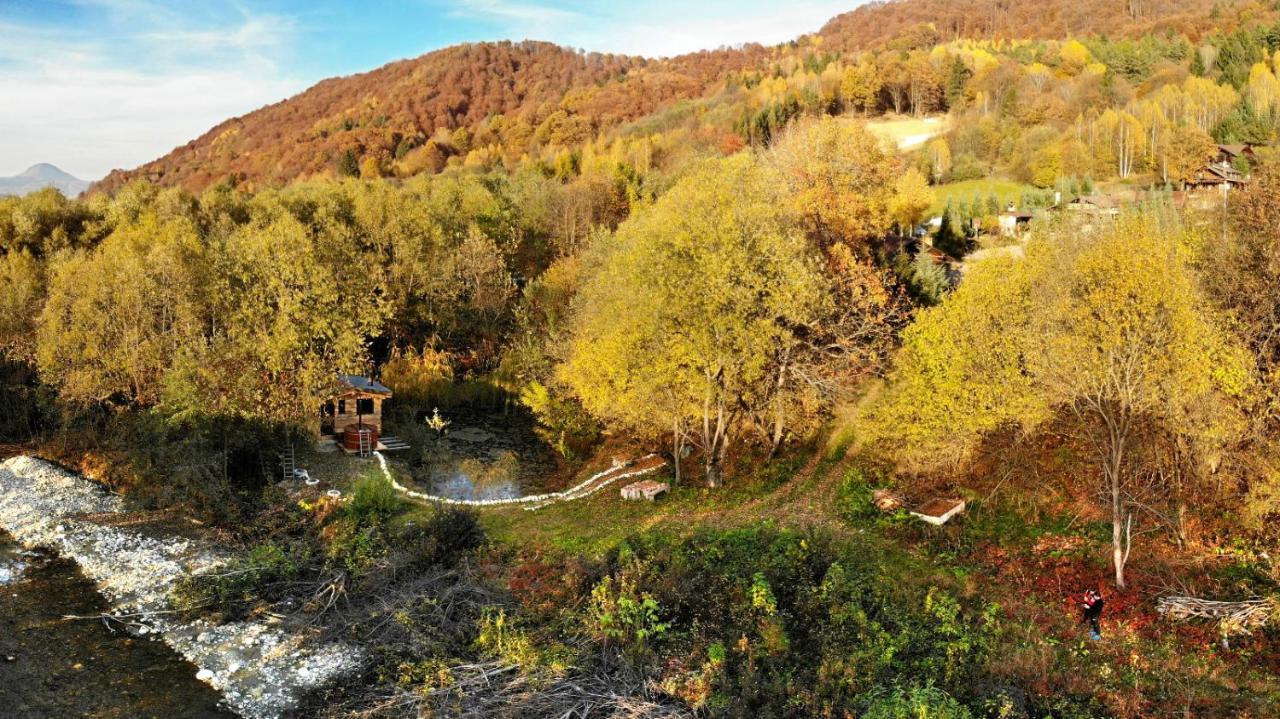 Cabana vânătorului Rîşnov Extérieur photo