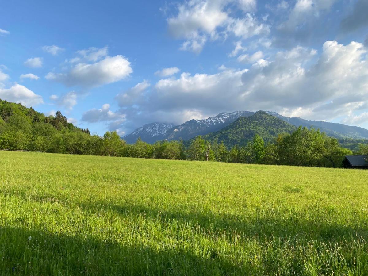 Cabana vânătorului Rîşnov Extérieur photo