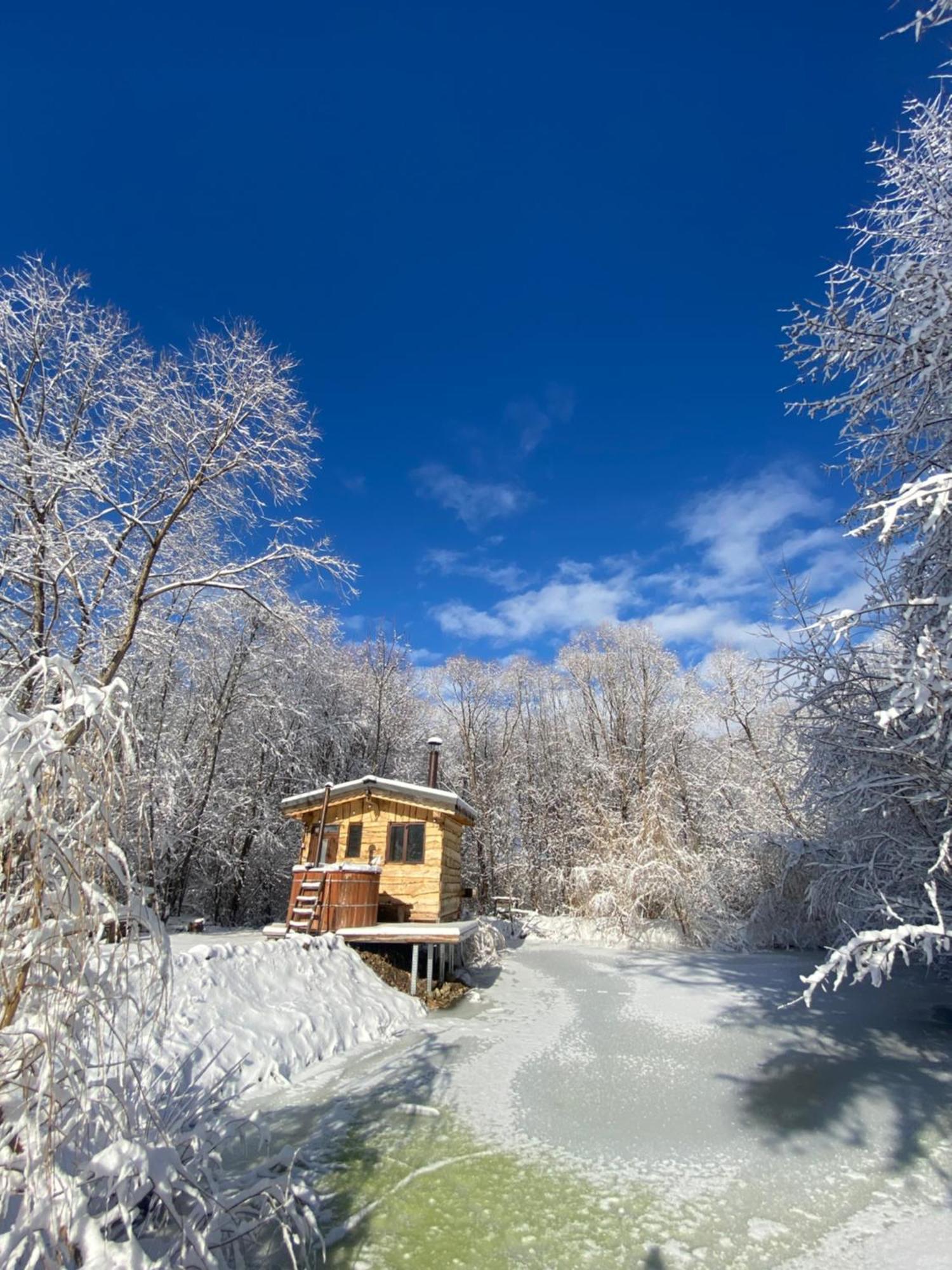 Cabana vânătorului Rîşnov Extérieur photo