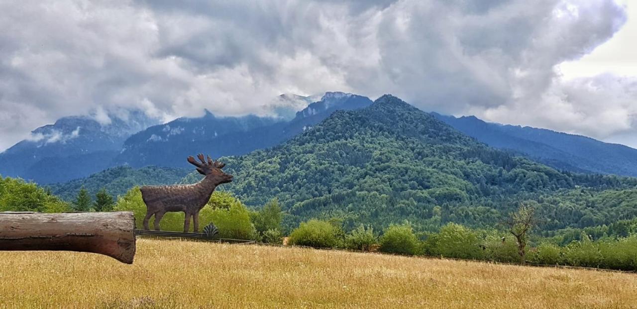 Cabana vânătorului Rîşnov Extérieur photo